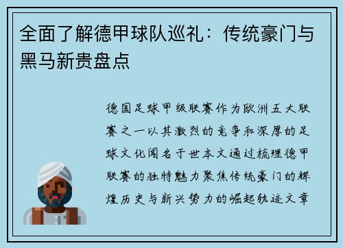 全面了解德甲球队巡礼：传统豪门与黑马新贵盘点